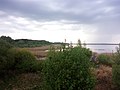 Siemianówka Reservoir. Bird-ringing camps are organised here.