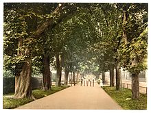 South Walks: Photochrom photograph, c. 1900 South Walk, Dorchester, England-LCCN2002696718.jpg