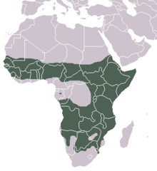 Gevlekte Hyaena area.png