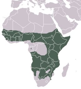 Distribución da hiena pinta