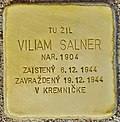 Stolperstein für Viliam Salner (Banska Bystrica) .jpg