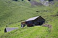 Deutsch: Alpbetrieb auf dem Stoos