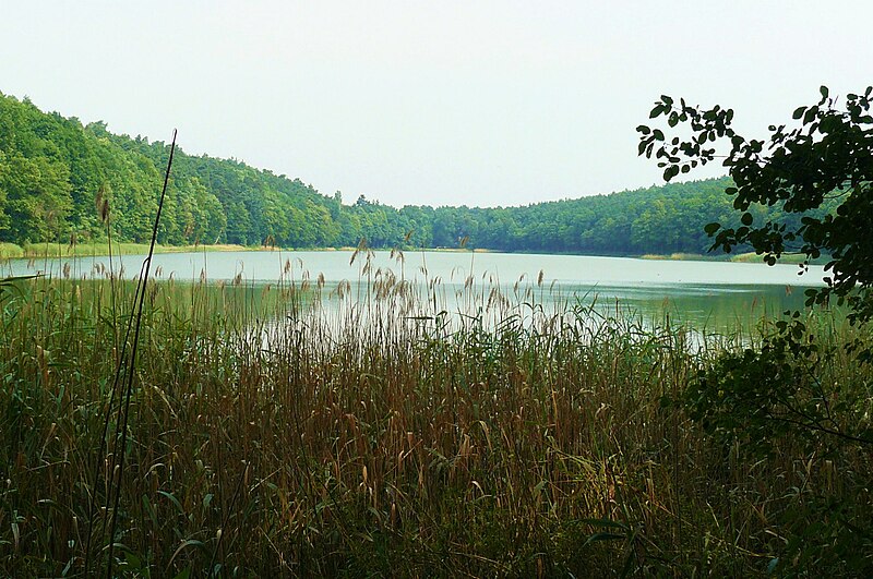 File:Strzeleckie Lake.JPG
