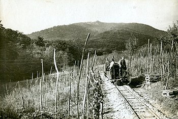 Sulzerbahn mit Blick auf den Hartmannsweiler Kopf.jpg