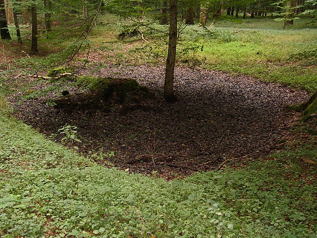 podlewanie ogrodu - swale