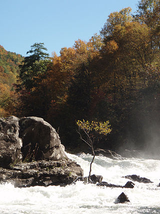 <span class="mw-page-title-main">Gauley River</span> River in West Virginia, United States