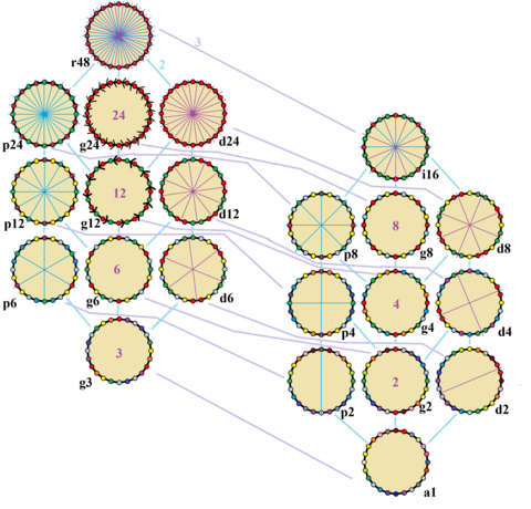 Symmetries of a regular icositetragon. Vertices are colored by their symmetry positions. Blue mirrors are drawn through vertices, and purple mirrors are drawn through edge. Gyration orders are given in the center. Symmetries of icositetragon.png