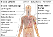 Portal Penyakit Koronavirus 2019 Wikipedia Bahasa Indonesia