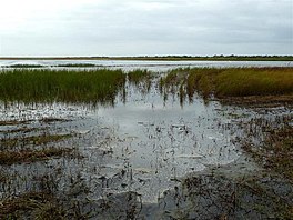 Tacumshane Pemandangan Danau (geograph 2090769).jpg