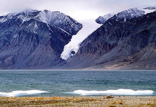 Gull Glacier in Tanquary Fjord