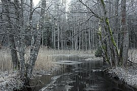 River Tarvasjõgi