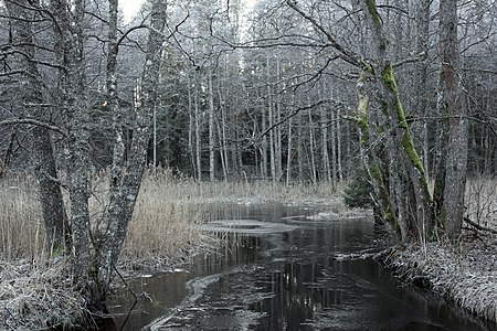 Kõrvemaa Nature Park, river Tarvasjõgi