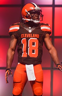 Taylor Gabriel American football player (born 1991)