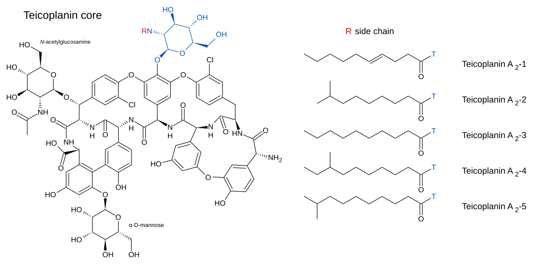 File:Teicoplanin core and major components.svg