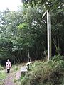 The Acland Cross, Selworthy Woods, West Somerset (2876321658) .jpg