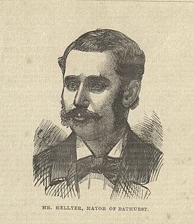 Thomas Hellyer Politician and solicitor in New South Wales, Australia