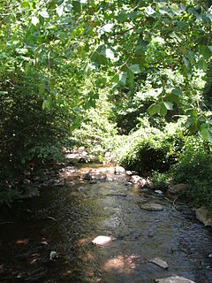 Thornton River river in the United States of America