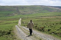 Mynydd Dwyriw Track near Mynydd Dwyriw - geograph.org.uk - 165867.jpg