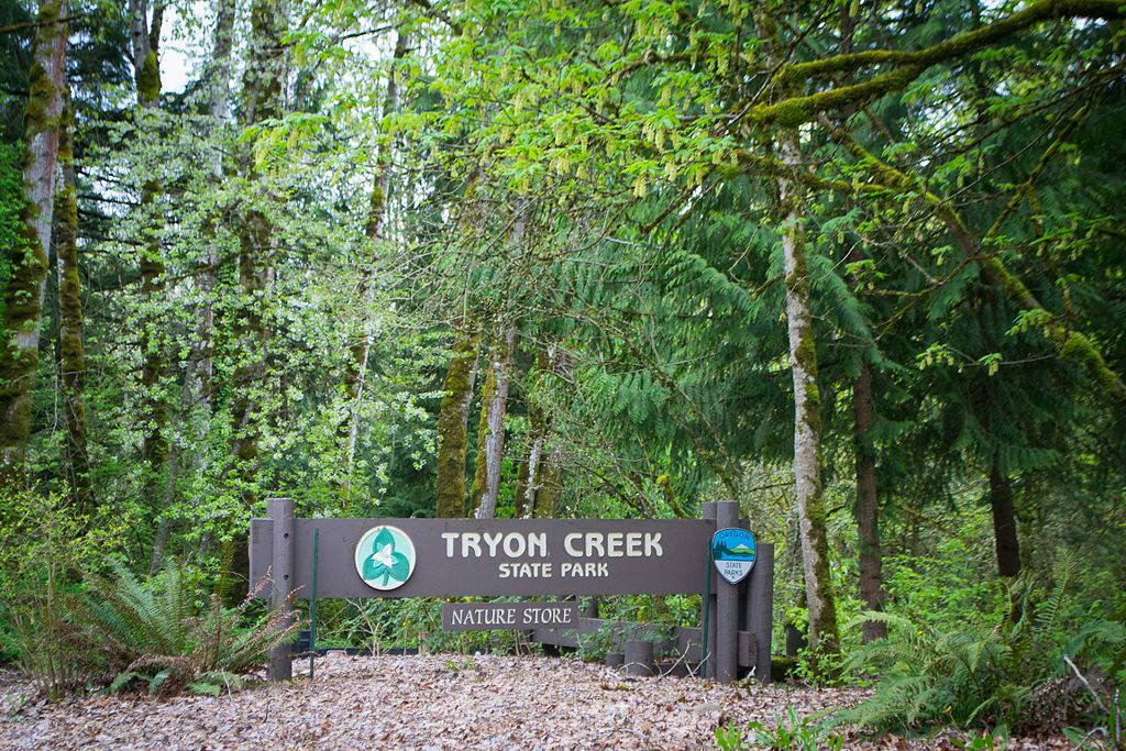 Tryon Creek State Park is the only state park in Oregon located in an urban setting.