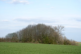 Tumuli van het Bos van de Tombes of Tumuli van Mirteaux