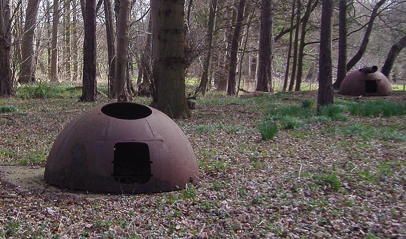 File:Two Alan Williams Turret's, Cockley Clay Hall, 30th March 2009 (detail).JPG