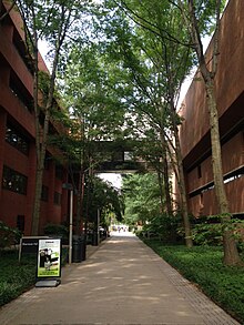 Academic Row is the main thoroughfare through the campus. UMBC Academic Row.JPG