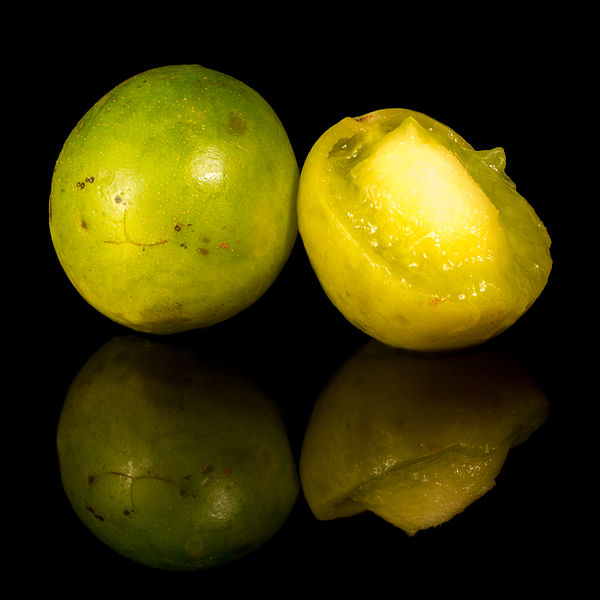 File:Umbu fruto aberto e fechado em fundo preto (versão cortada).jpg