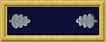 Union Army LTC rank insignia.png