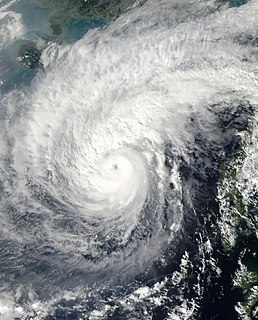 Typhoon Utor (2006) Pacific typhoon in 2006