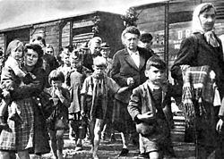 Fotografi av flyktninger ved siden av jernbanevogner