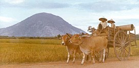 Vietnamese cart with Nui Ba Den in background.jpg