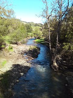 Llagas Creek river in the United States of America