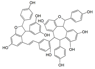 <span class="mw-page-title-main">Vitisin A (stilbenoid)</span> Chemical compound