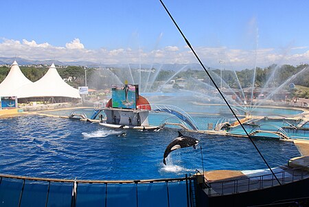 Vue globale bassins Marineland