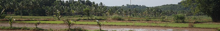 Palakkad district page banner