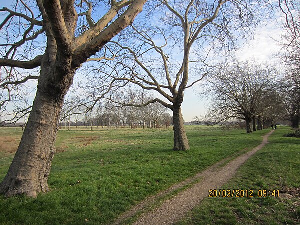 Wanstead Flats at Forest Gate