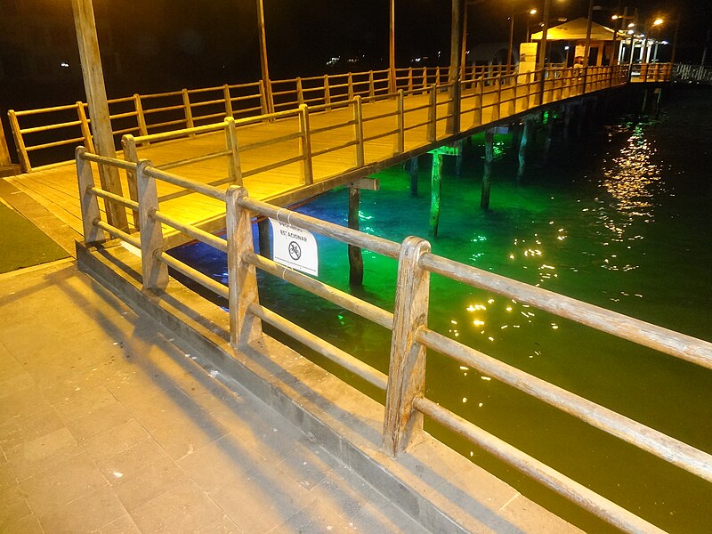 File:Water taxi dock in Puerto Ayora. looking from the right side.JPG