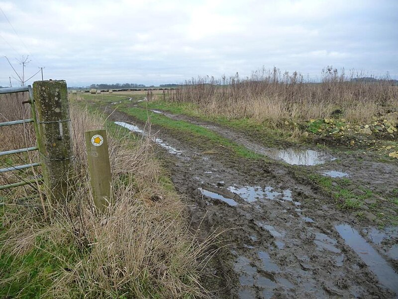 File:Waymarked public footpath, off The Avenue - geograph.org.uk - 5268090.jpg