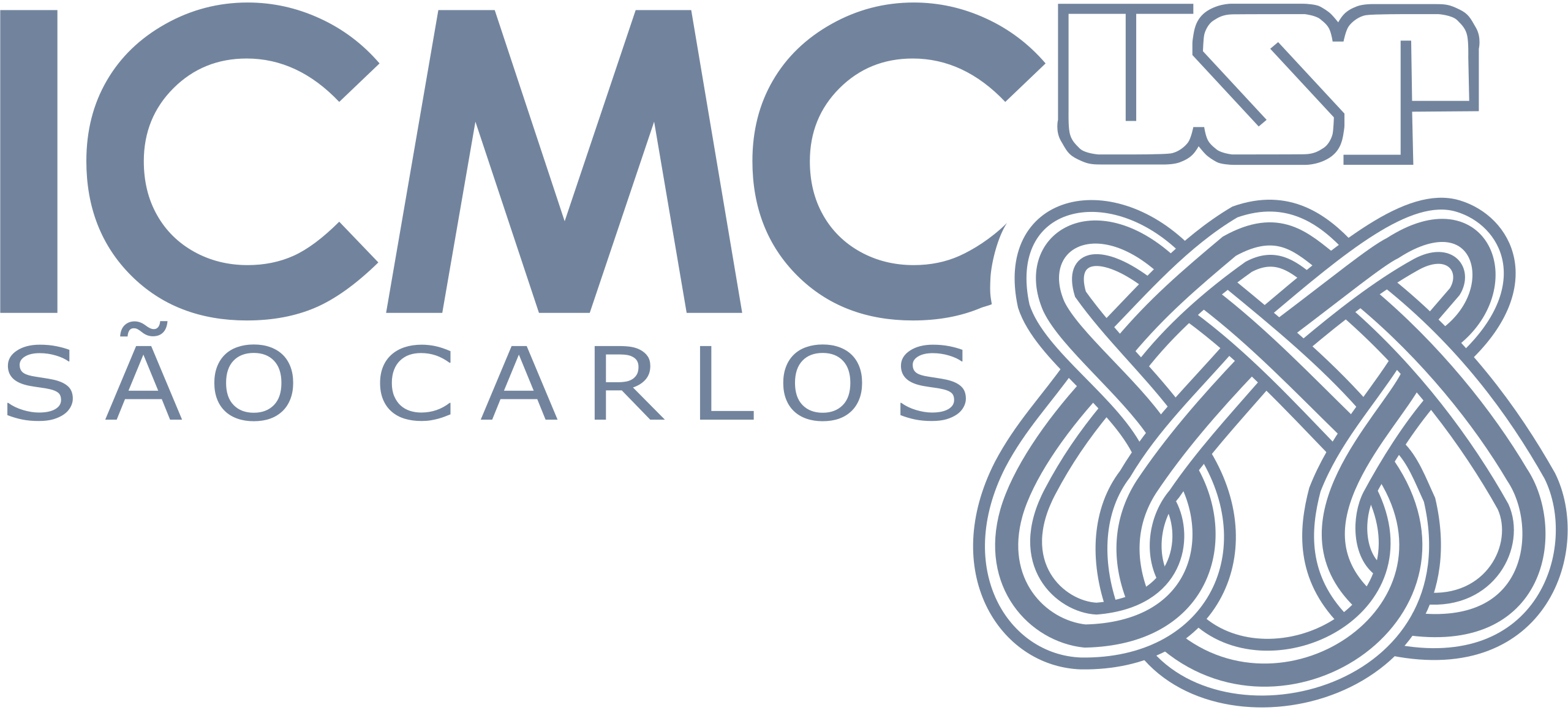 ICMC-USP logo