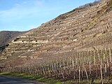 Vineyard terraces monument zone