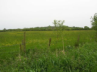 West Moor SSSI