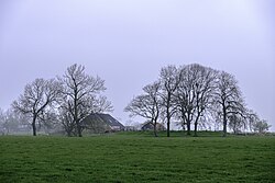 Zuidzijde van deze wierde