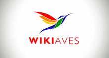 WikiAves Logo WikiAves logotipo.png