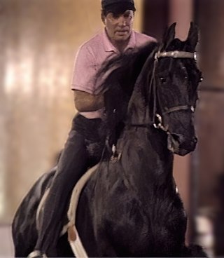 <span class="mw-page-title-main">Sultan's Great Day</span> American Saddlebred stallion
