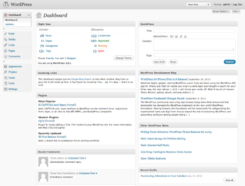 WordPress dashboard interface