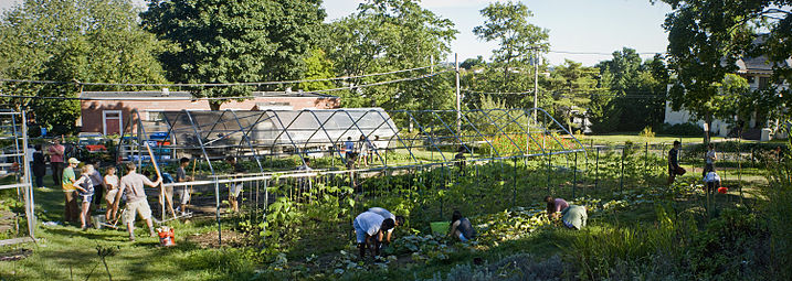Yale Farm volunteer workday showing un-covered hoophouse