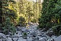 * Nomination Yosemite National Park, California, USA --XRay 04:34, 11 November 2022 (UTC) * Promotion  Support Good quality -- Johann Jaritz 05:27, 11 November 2022 (UTC)