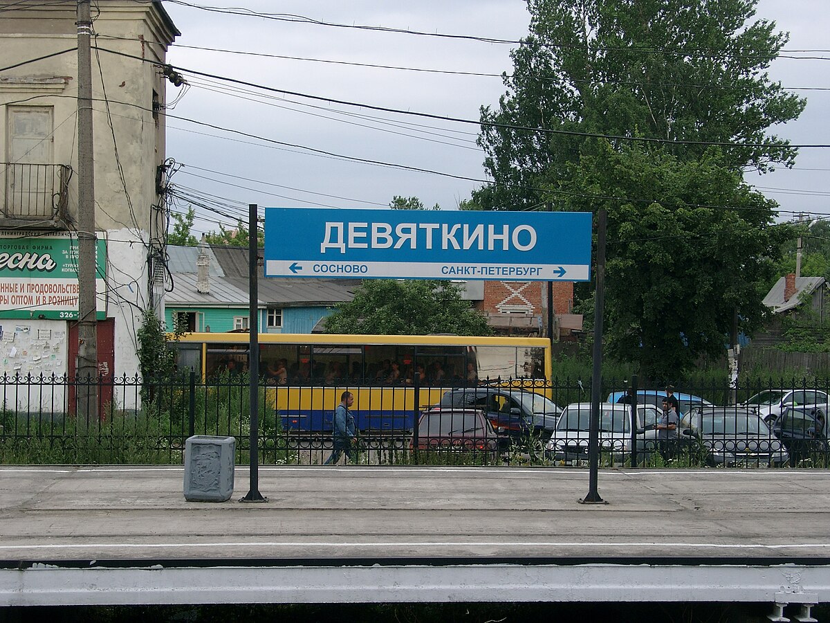 девяткино станция метро