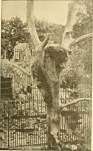 File:"My country, 'tis of thee!" or, The United States of America; past, present and future. A philosophic view of American history and of our present status, to be seen in the Columbian exhibition (1892) (14782313104).jpg