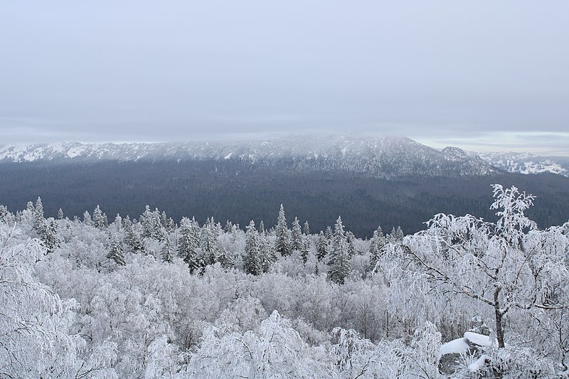 File:Кружева зимнего Таганая.jpg